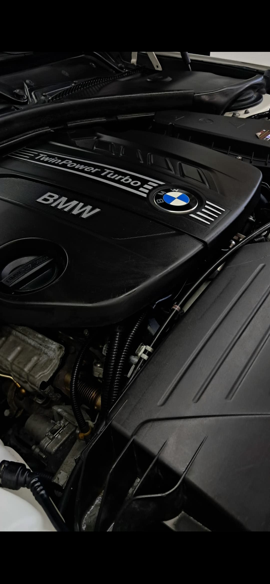BMW TwinPower Turbo engine bay detailing
