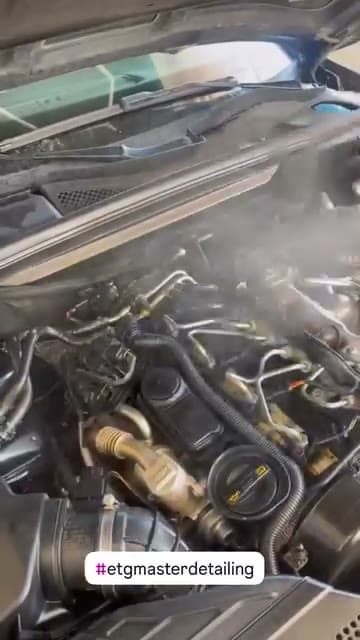 Cleaned engine bay after deep cleaning