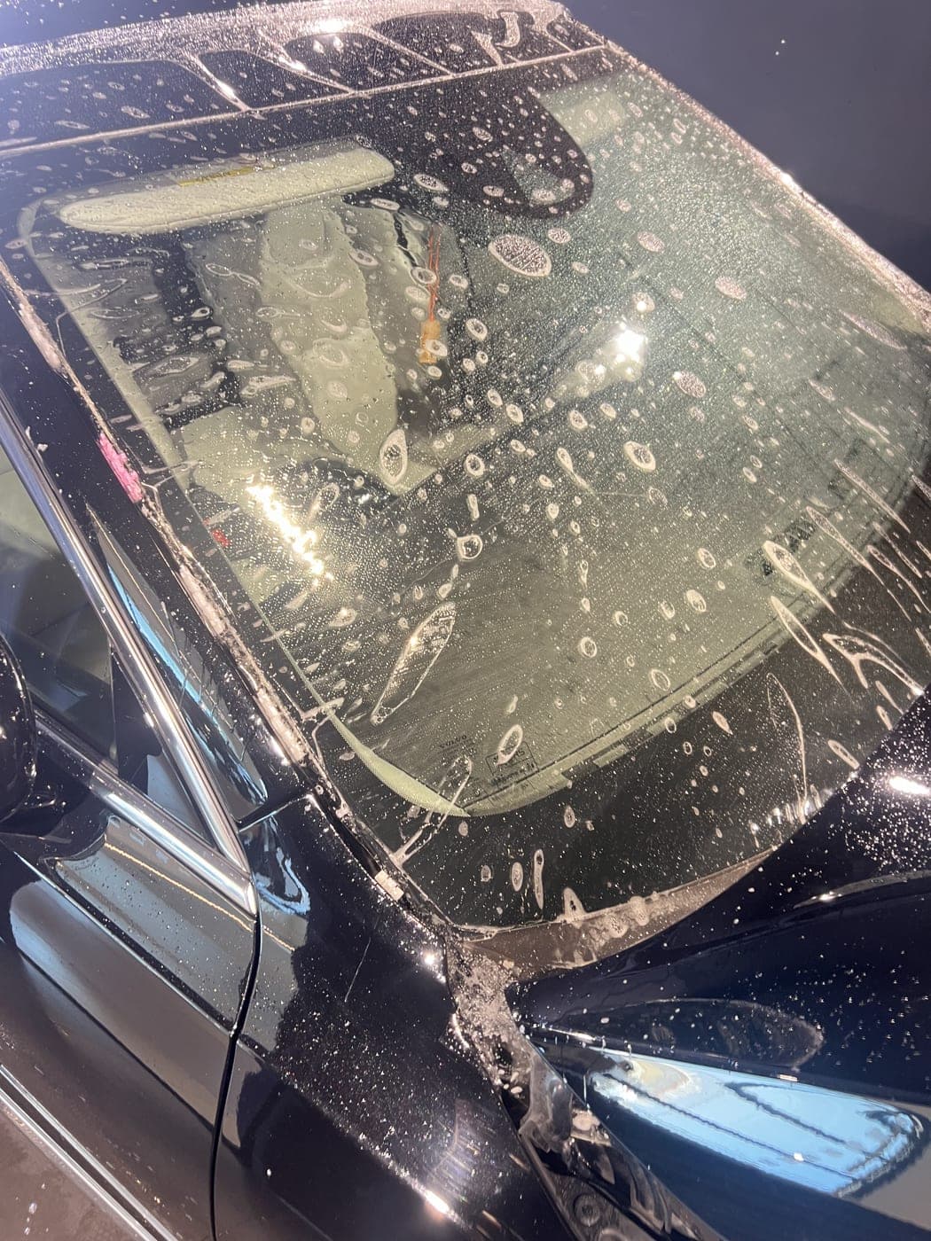 Windshield protection film being worked out from the glass